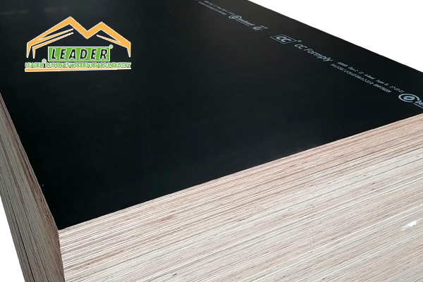 eucalyptus plywood suppliers